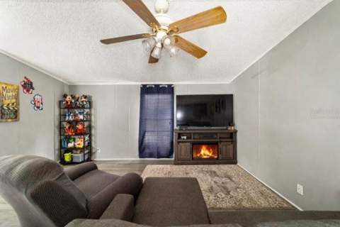 13261 NE 155th Lane, Fort Mc Coy FL - photo 6 of 6