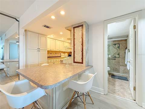 400 64th Avenue #1204, St Pete Beach FL - photo 13 of 46