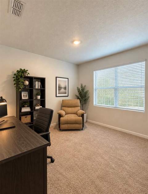 664 Tortugas Street, Haines City FL - photo 6 of 22