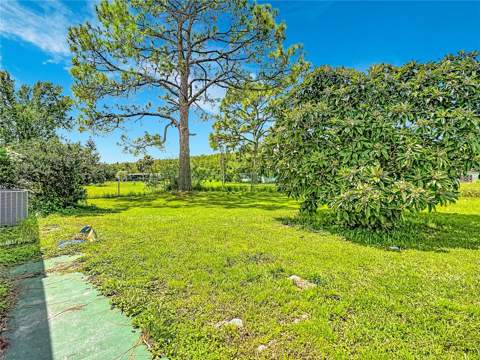 2614 Mc Daniel Drive, Kissimmee FL - photo 22 of 28
