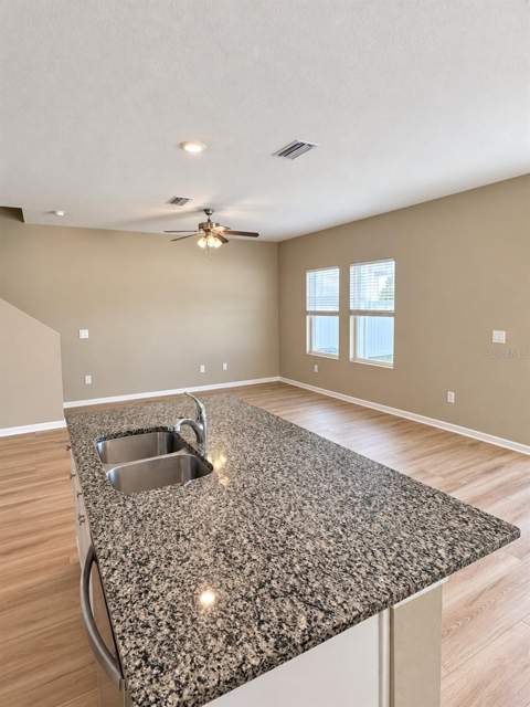 35139 White Water Lily Way, Zephyrhills FL - photo 9 of 37