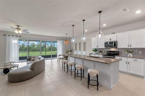 17319 Million Lakes Court, Clermont FL - photo 9 of 53