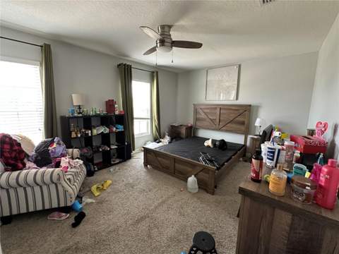 5114 Jackel Chase Drive, Wimauma FL - photo 16 of 20