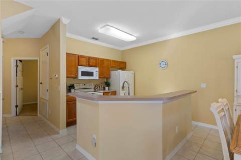 8535 Bay Lilly Loop, Kissimmee FL - photo 9 of 58