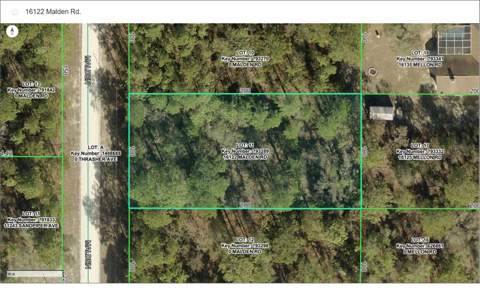 16122 Malden Road, Weeki Wachee FL - photo 6 of 6