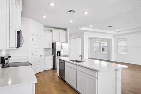 2265 Hamden Way, Mount Dora FL - photo 19 of 53