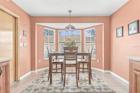 8218 Spanish Oak Drive, Spring Hill FL - photo 21 of 50