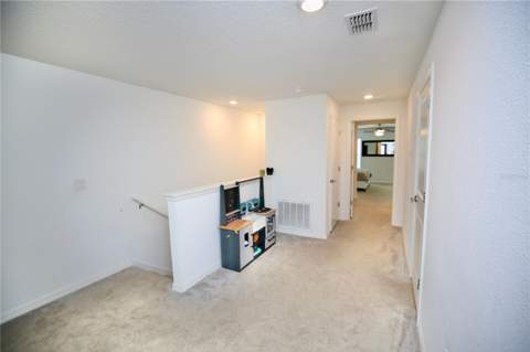 17620 Nectar Flume Drive, Land O Lakes FL - photo 23 of 58