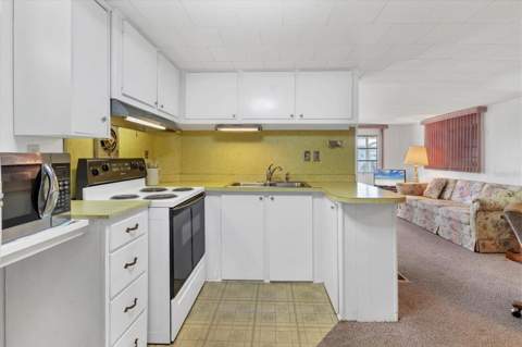 1212 41st Avenue Drive, Ellenton FL - photo 6 of 43