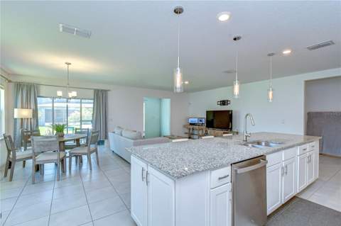 8325 Olive Brook Drive, Wesley Chapel FL - photo 15 of 39