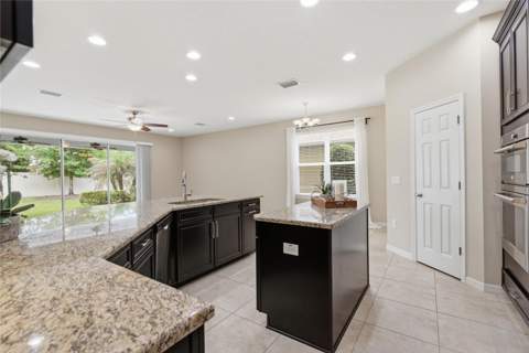 9167 Bella Vita Circle, Land O Lakes FL - photo 11 of 74