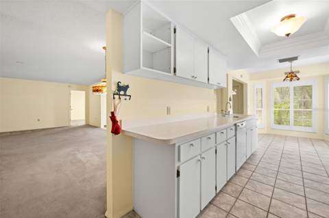2629 Imperial Pine Drive, Spring Hill FL - photo 22 of 58