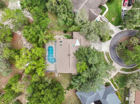 8020 Moonlight Lane, New Port Richey FL - photo 23 of 27