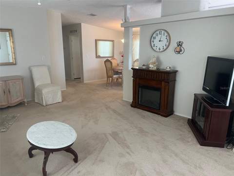 12 Thatch Palm Street, Largo FL - photo 14 of 29