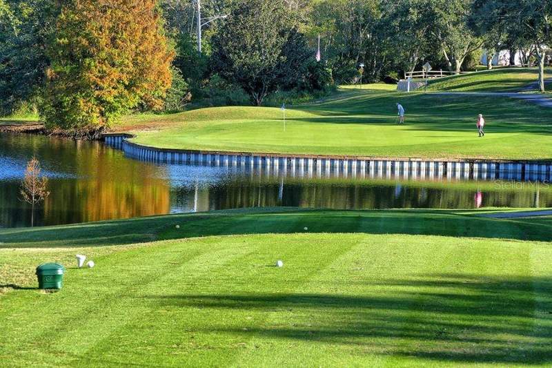 2 bedroom Villa at 3253 McMath Drive, Highland Lakes, Palm Harbor — photo 5