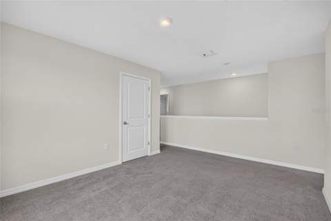 2818 Gumbo Limbo Drive, Wimauma FL - photo 24 of 71