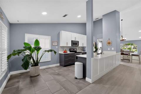 17721 Hampshire Oak Drive, Tampa FL - photo 6 of 35