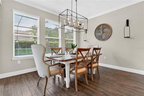 10007 Little Alcove Loop, Winter Garden FL - photo 11 of 56