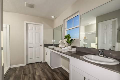 31685 Oyster Trellis Lane, Wesley Chapel FL - photo 6 of 27