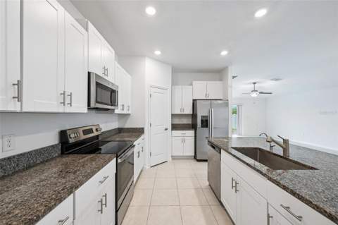 5517 Blue Azure Drive, Wimauma FL - photo 8 of 43