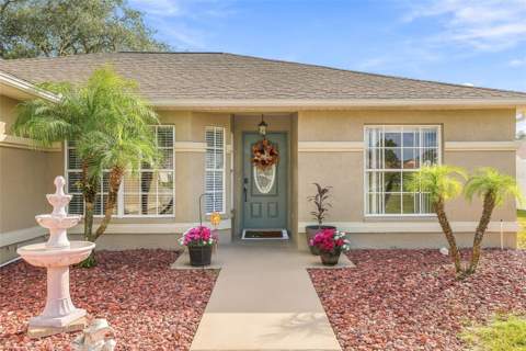 8218 Spanish Oak Drive, Spring Hill FL - photo 7 of 50