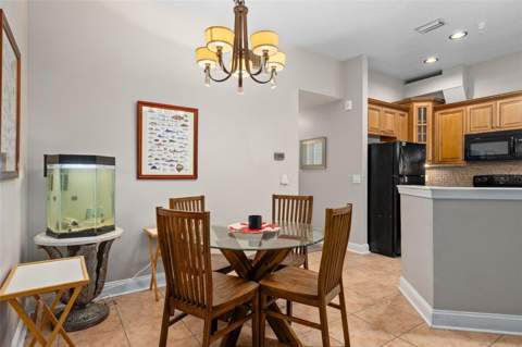 701 Mirror Lake Drive #120, St Petersburg FL - photo 18 of 63