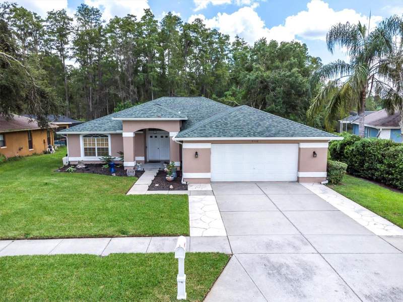 Alico EstatesHomes for Sale in New Port Richey, FL