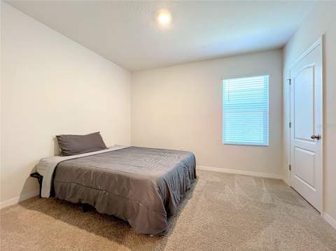 30380 Armenia Road, Leesburg FL - photo 15 of 21