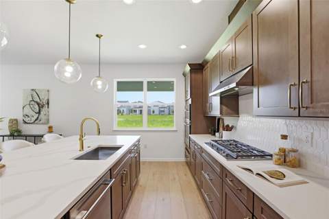 1595 Stoneclifff Drive, Apopka FL - photo 16 of 45
