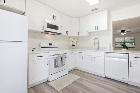 2909 Fig Court, Palm Harbor FL - photo 12 of 44