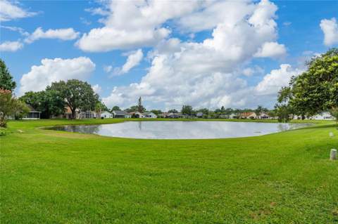 11206 Purple Plum Court, Orlando FL - photo 9 of 47