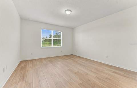 10037 Trellis Vine Way, Parrish FL - photo 7 of 20