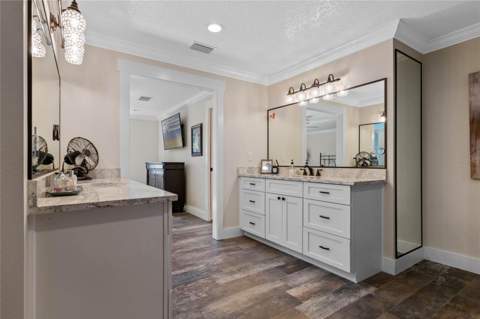 17531 County Road 455, Montverde FL - photo 23 of 53