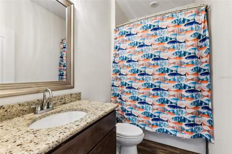 8245 Olive Brook Drive, Wesley Chapel FL - photo 20 of 40