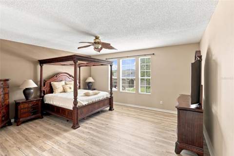 10526 Beneva Drive, Tampa FL - photo 18 of 43