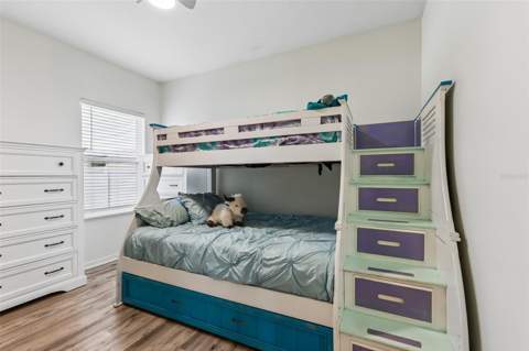 8245 Olive Brook Drive, Wesley Chapel FL - photo 19 of 40