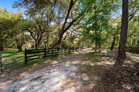 15311 SW 107th Street, Archer FL - photo 6 of 6
