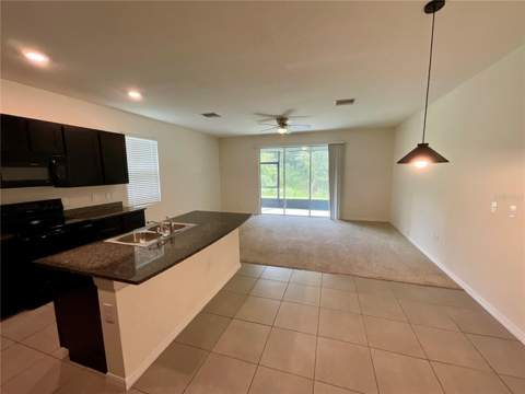 1720 Hubbell Road, Wesley Chapel FL - photo 9 of 36