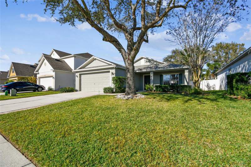 Tavares Martins Grove
