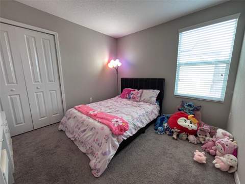 405 Serenity Mill Loop, Ruskin FL - photo 23 of 50