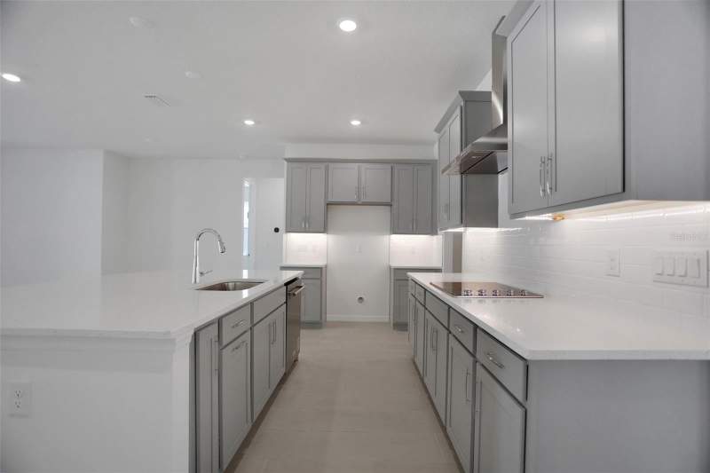 4 bedroom Single Family Residence at 17584 Valleywood Parkway, Angeline, Land O Lakes — photo 5