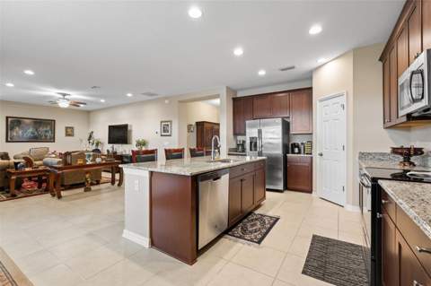 31046 Parrot Reef Court, Wesley Chapel FL - photo 18 of 99