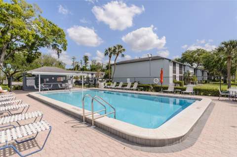 207 Cypress Lane, Oldsmar FL - photo 23 of 25