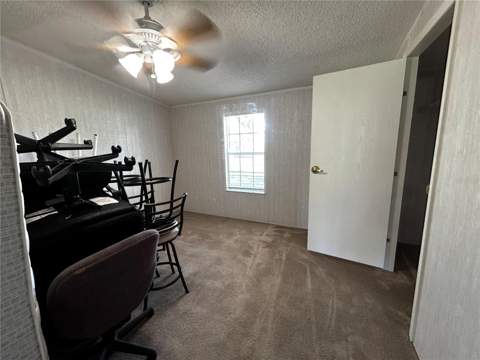8535 23rd Street, Zephyrhills FL - photo 17 of 39