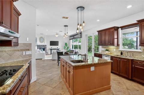 243 Zachary Wade Street, Winter Garden FL - photo 13 of 56