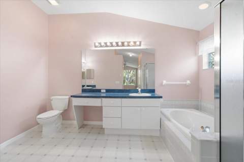 4628 Corsage Drive, Lutz FL - photo 17 of 35