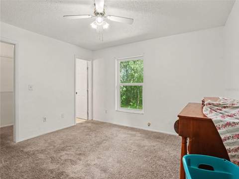 6655 Merle Street, Bradley FL - photo 12 of 21