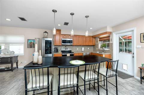 10504 Lacera Drive, Tampa FL - photo 9 of 41