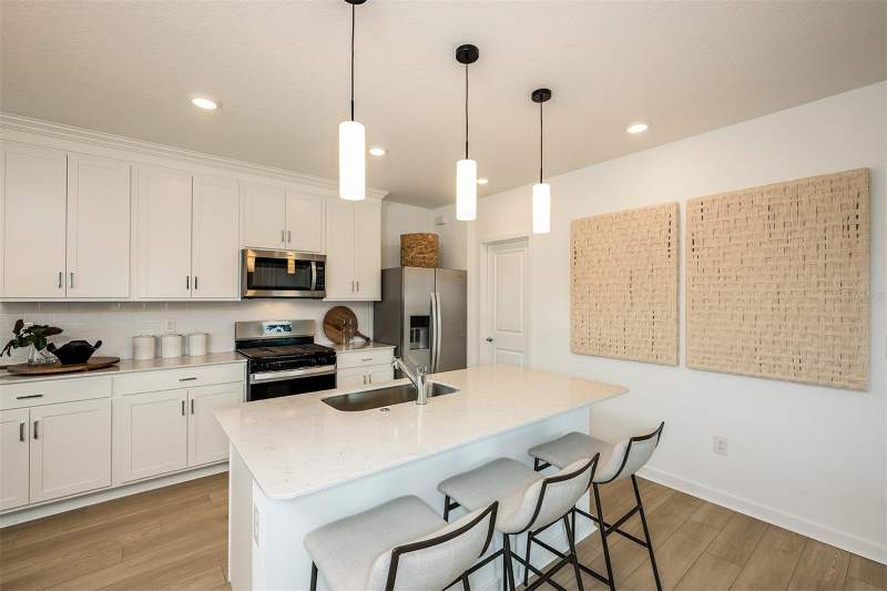 4 bedroom Single Family Residence at 5330 Spring Maiden Circle, Waterset Wolf Creek Phase H1, Apollo Beach — photo 3