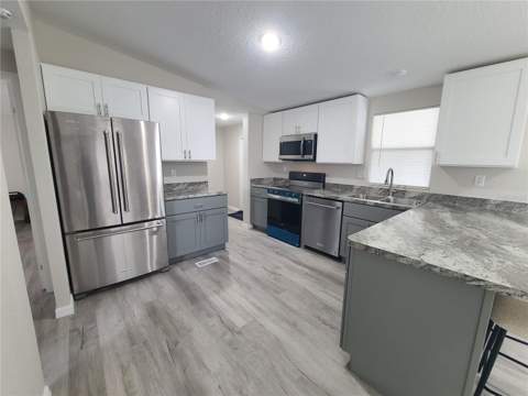 710 Coachman Drive, Leesburg FL - photo 9 of 22